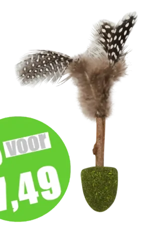 Jack & Vanilla Herbals Kattenkruid & Matatabi Stok Met Top & Veer 6 cm Laatste Versie